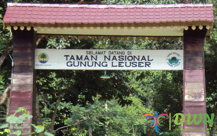 Taman Nasional Gunung Leuser Petualangan Seru Pesona Alam