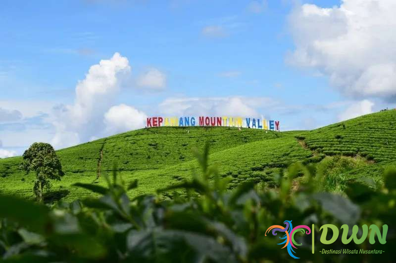 Kebun Teh Kebawetan: Destinasi Wisata Alam Yang Menyegarkan