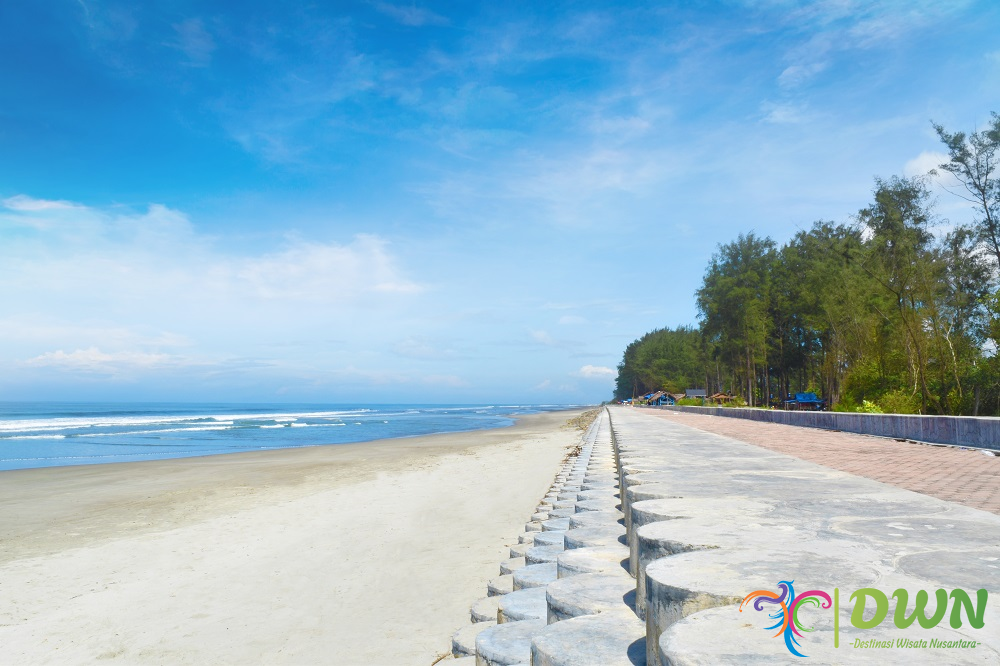 Pantai Panjang Bengkulu: Destinasi Daya Tarik Lokasi dan Tips