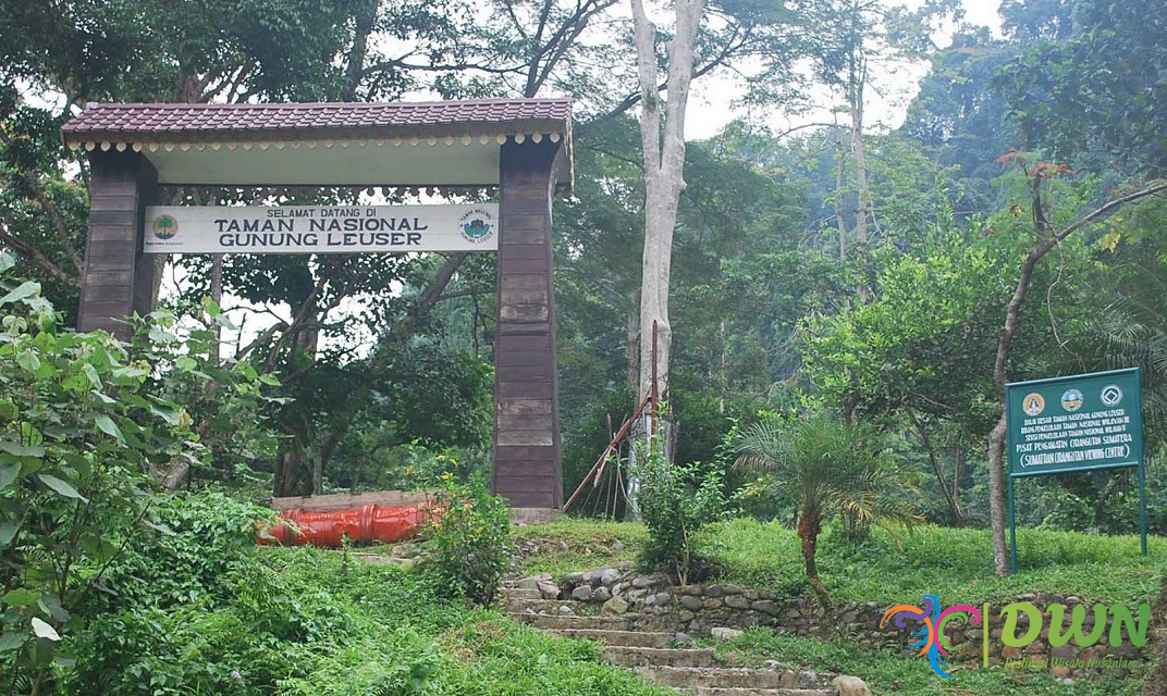 Taman Nasional Gunung Leuser Petualangan Seru Pesona Alam