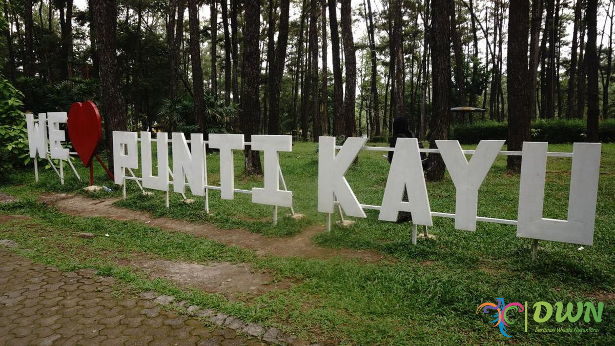 Punti Kayu Destinasi Surga Hutan Cemara di Tengah Kota