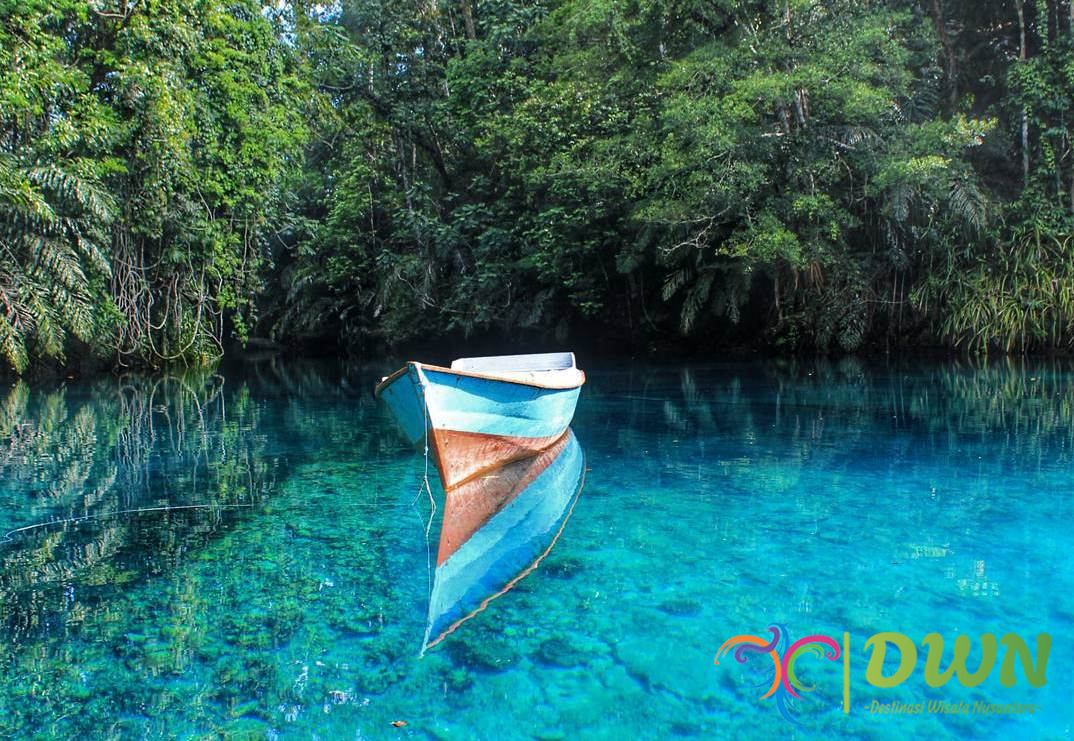 Kepulauan Derawan: Surga Tropis yang Wajib Dikunjungi