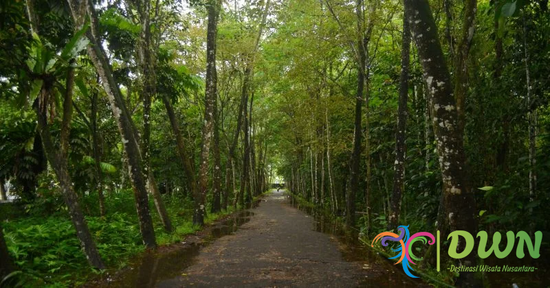 Hutan Arboretum Sylva: Rekreasi untuk Keluarga dan Pecinta Alam