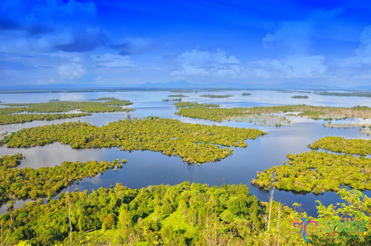 Danau Sentarum Kalimantan Barat: Destinasi Kekayaan Satwa Liar