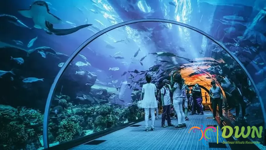 Jakarta Aquarium & Safari: Destinasi Seru untuk Liburan Keluarga