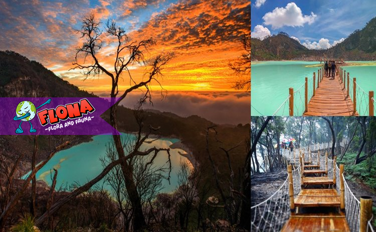 Kawah Putih: Panduan Wisata, Tiket Masuk, dan Tips Liburan