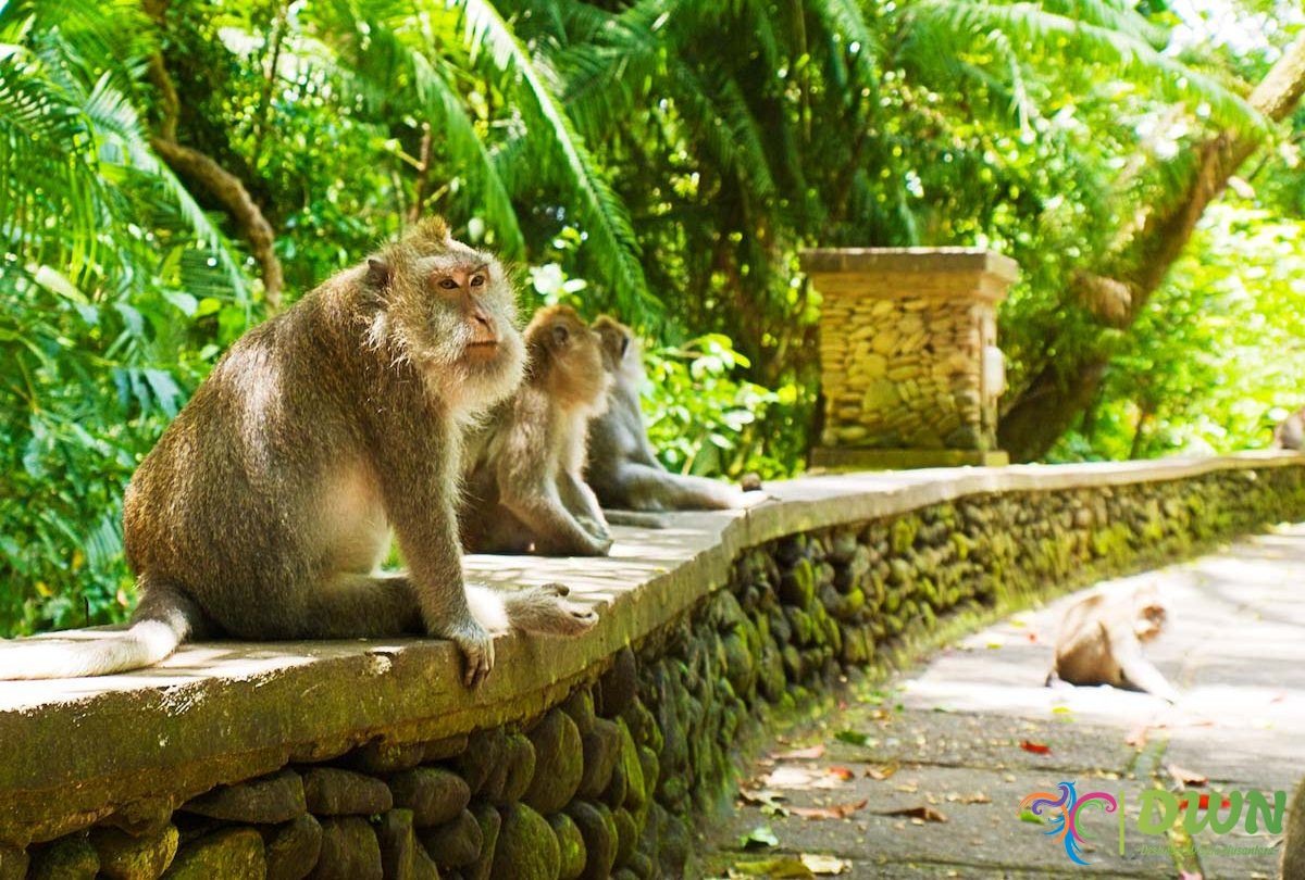 Monkey Forest Ubud: Destinasi Wisata Alam dan Budaya di Bali yang Wajib Dikunjungi