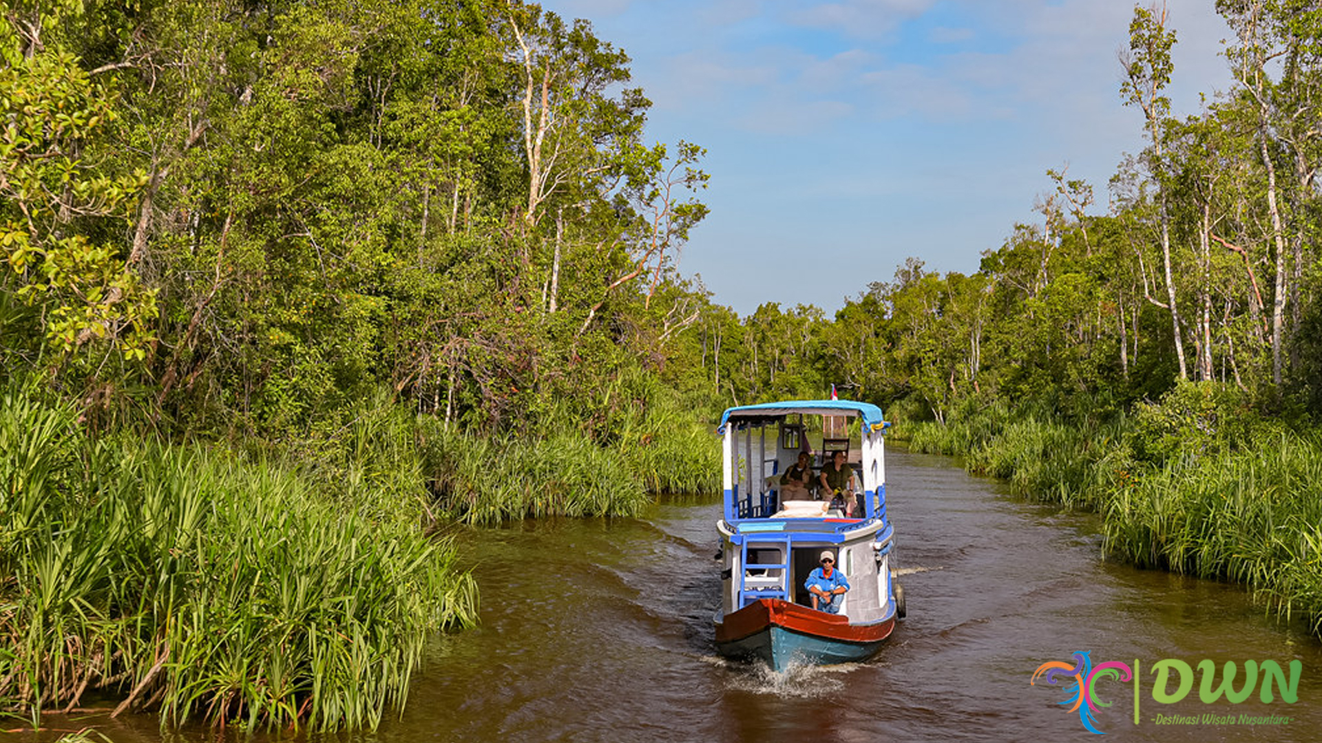 Keheningan Borneo: Wisata Taman Nasional Tanjung Puting