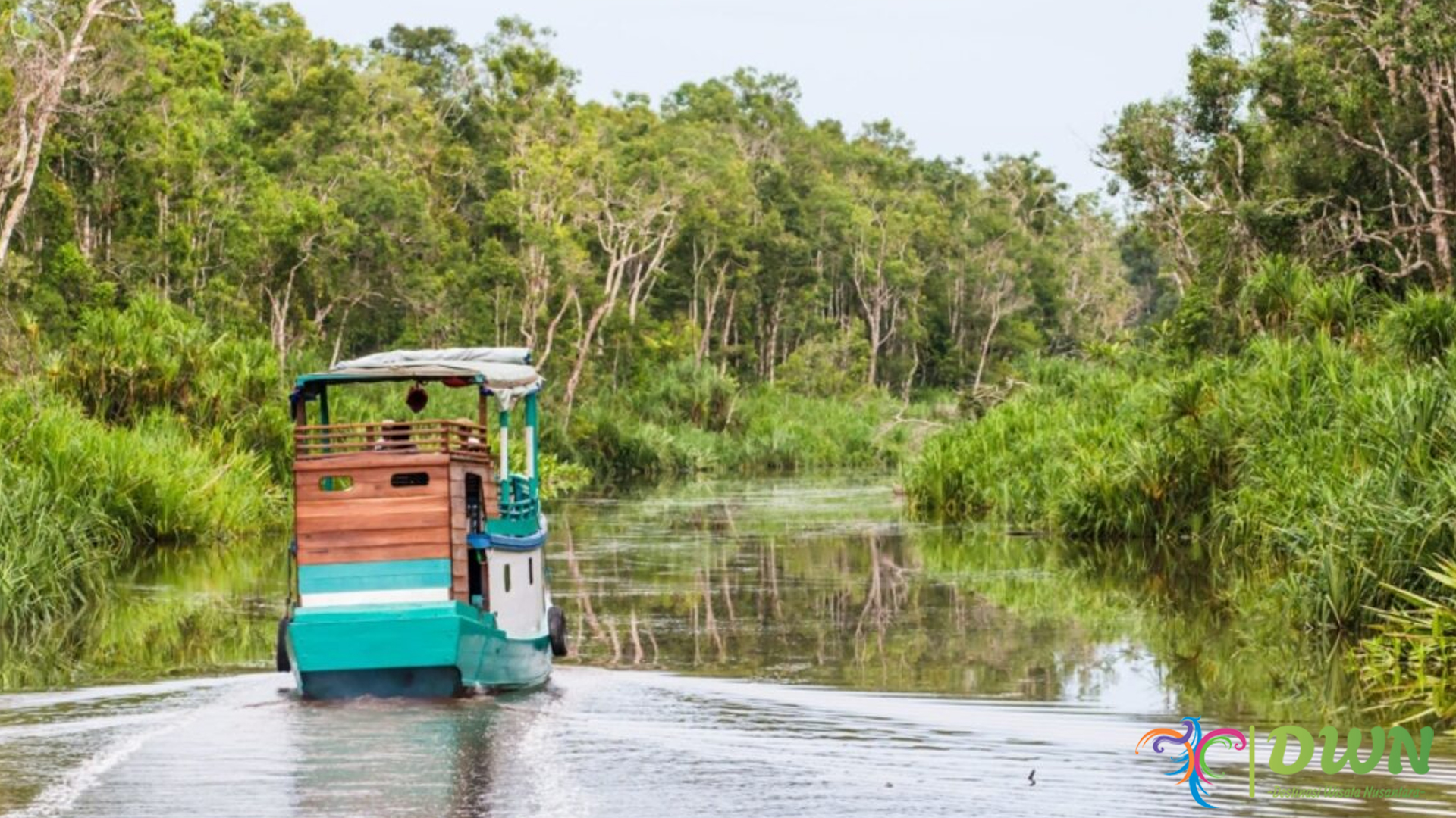 Keheningan Borneo: Wisata Taman Nasional Tanjung Puting