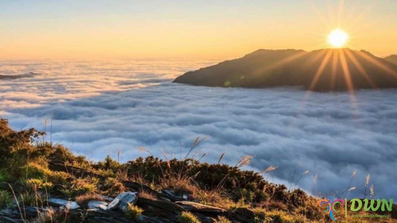 Pesona Puncak Buntu Liarra: Negeri di Atas Awan yang Wajib Dikunjungi