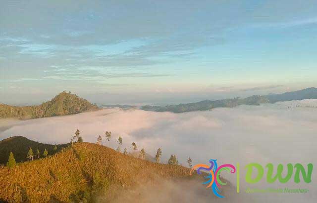 Pesona Puncak Buntu Liarra: Negeri di Atas Awan yang Wajib Dikunjungi