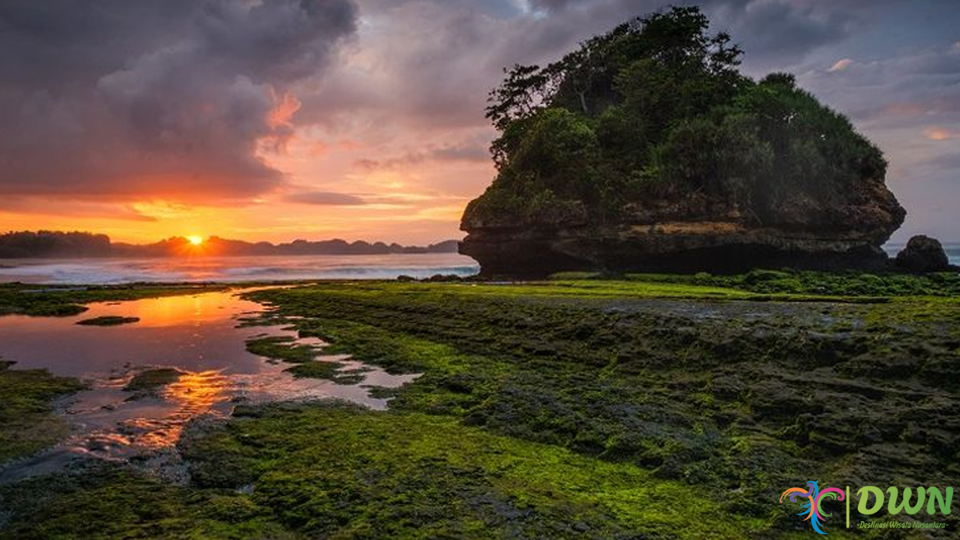 Surga di Balik Tebing: Jelajahi Keajaiban Pantai Parang Dowo