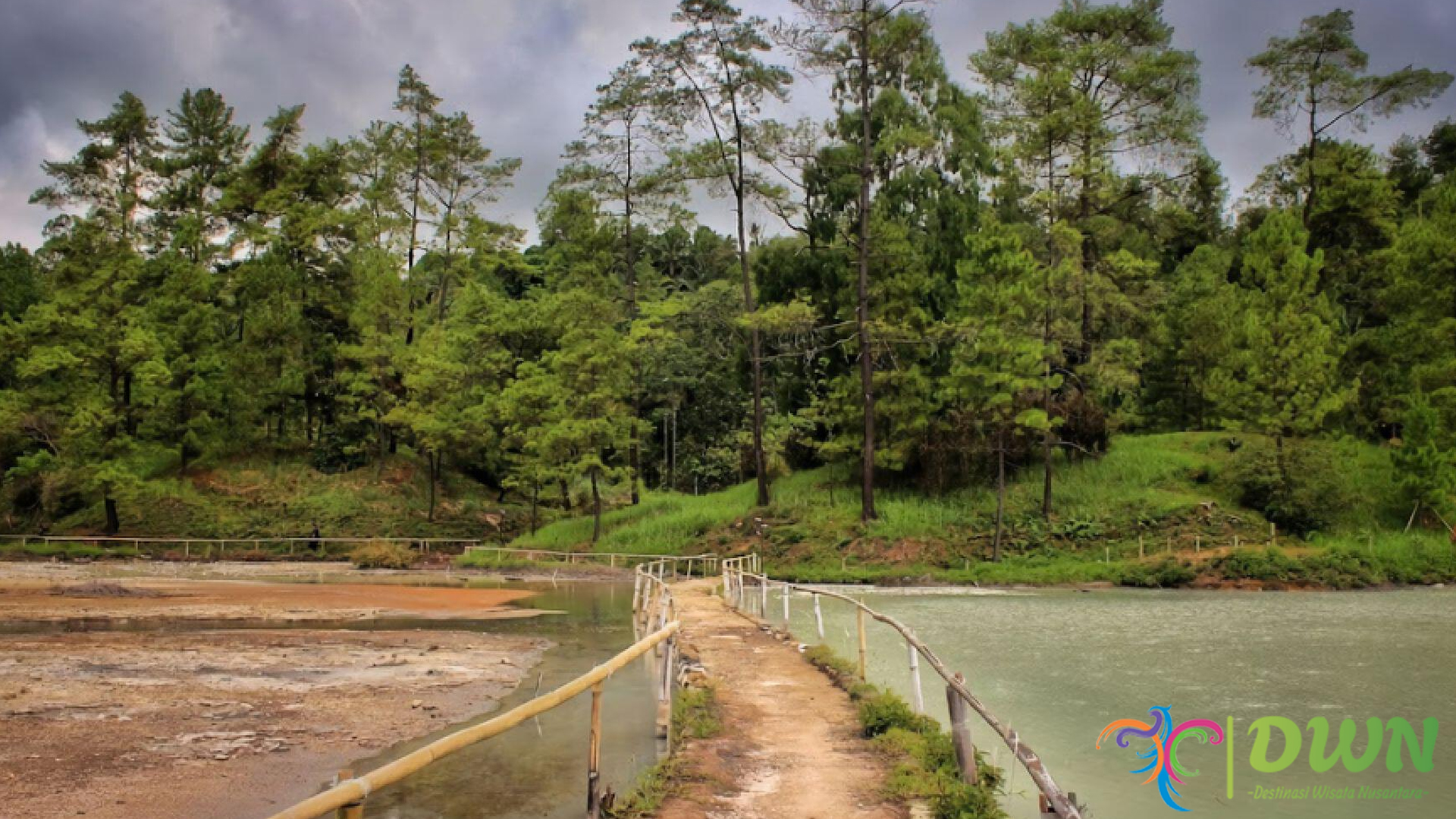 Hutan Pinus Lahendong: Harmoni Alam yang Menyegarkan