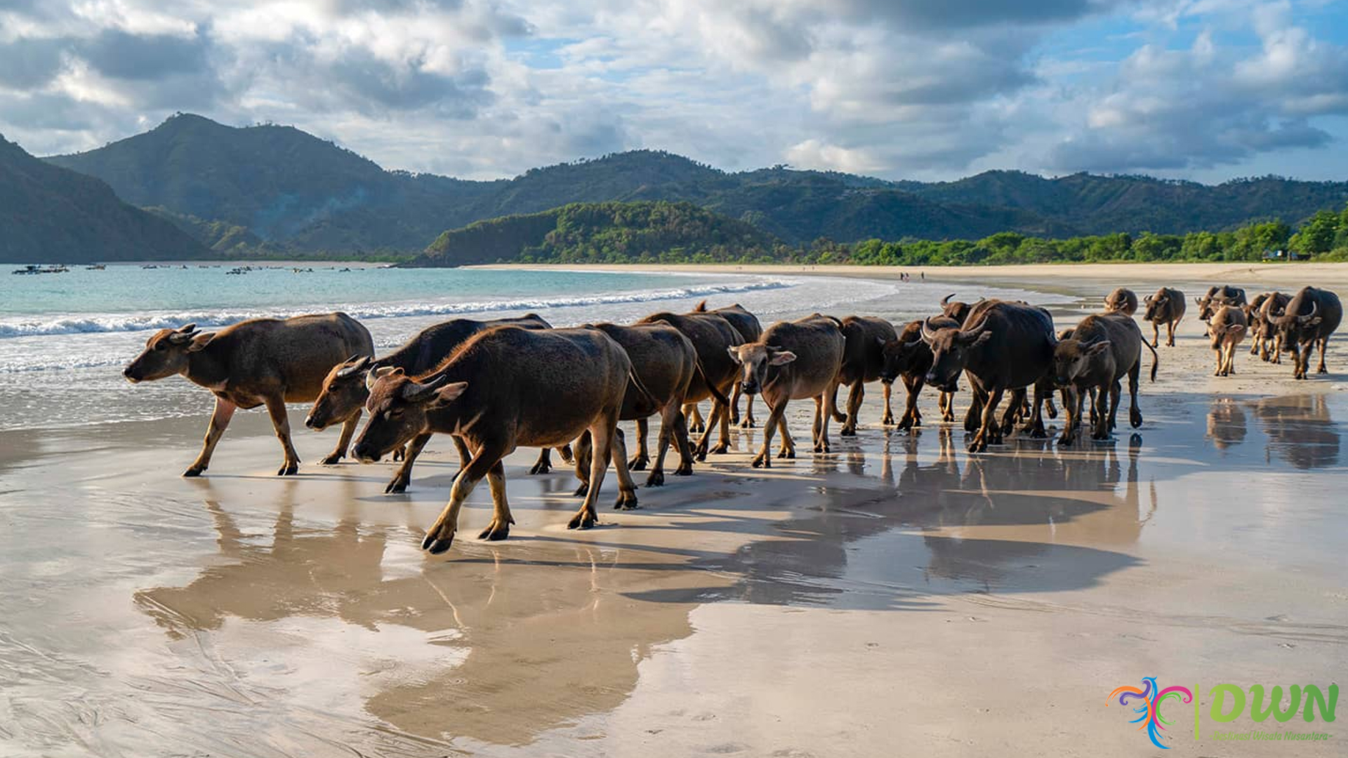 Keajaiban Pantai Selong Belanak: Destinasi Favorit di Lombok