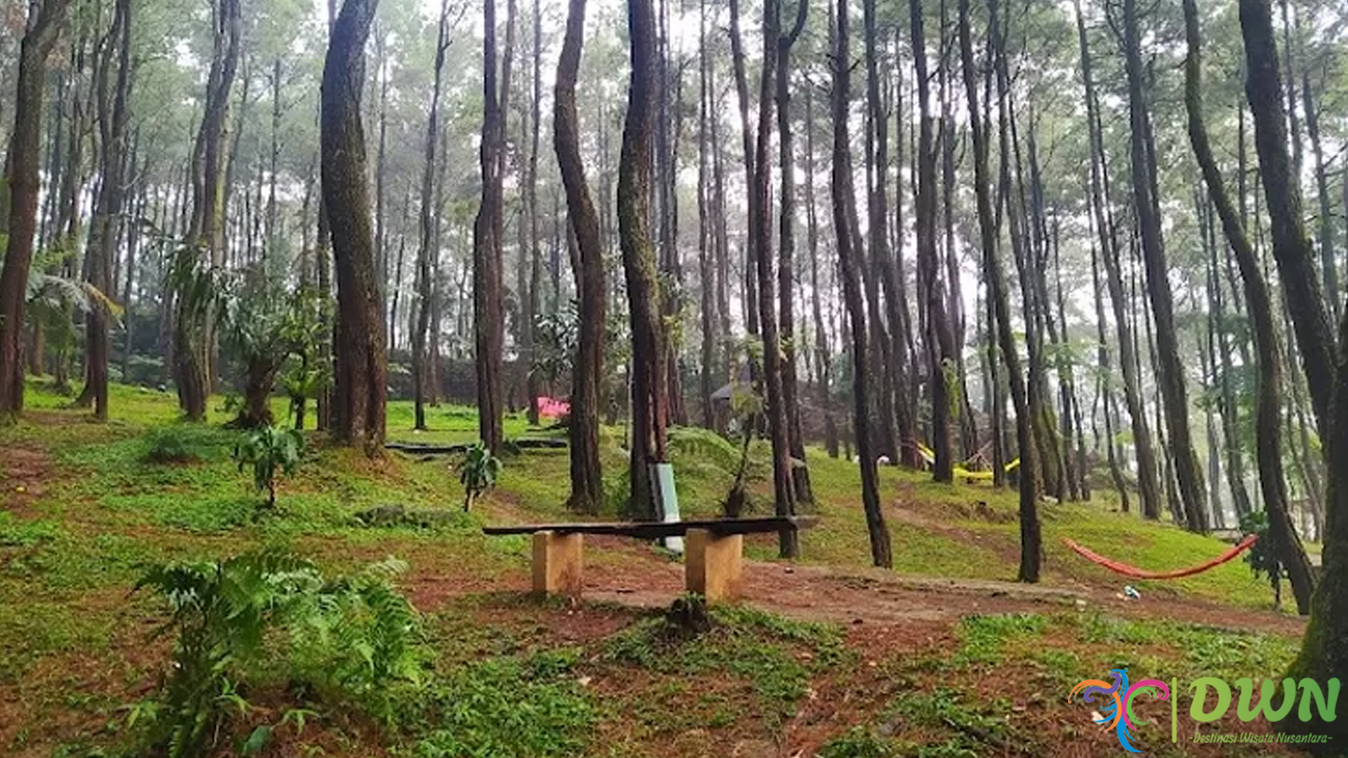 Keindahan Pasir Langlang Panyawangan: Wisata yang Bikin Betah