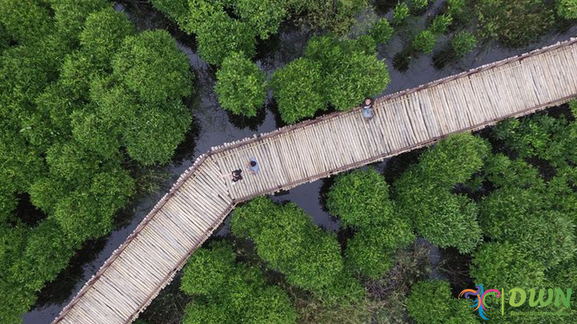 Spot Wisata Instagramable di Mangrove Wonorejo