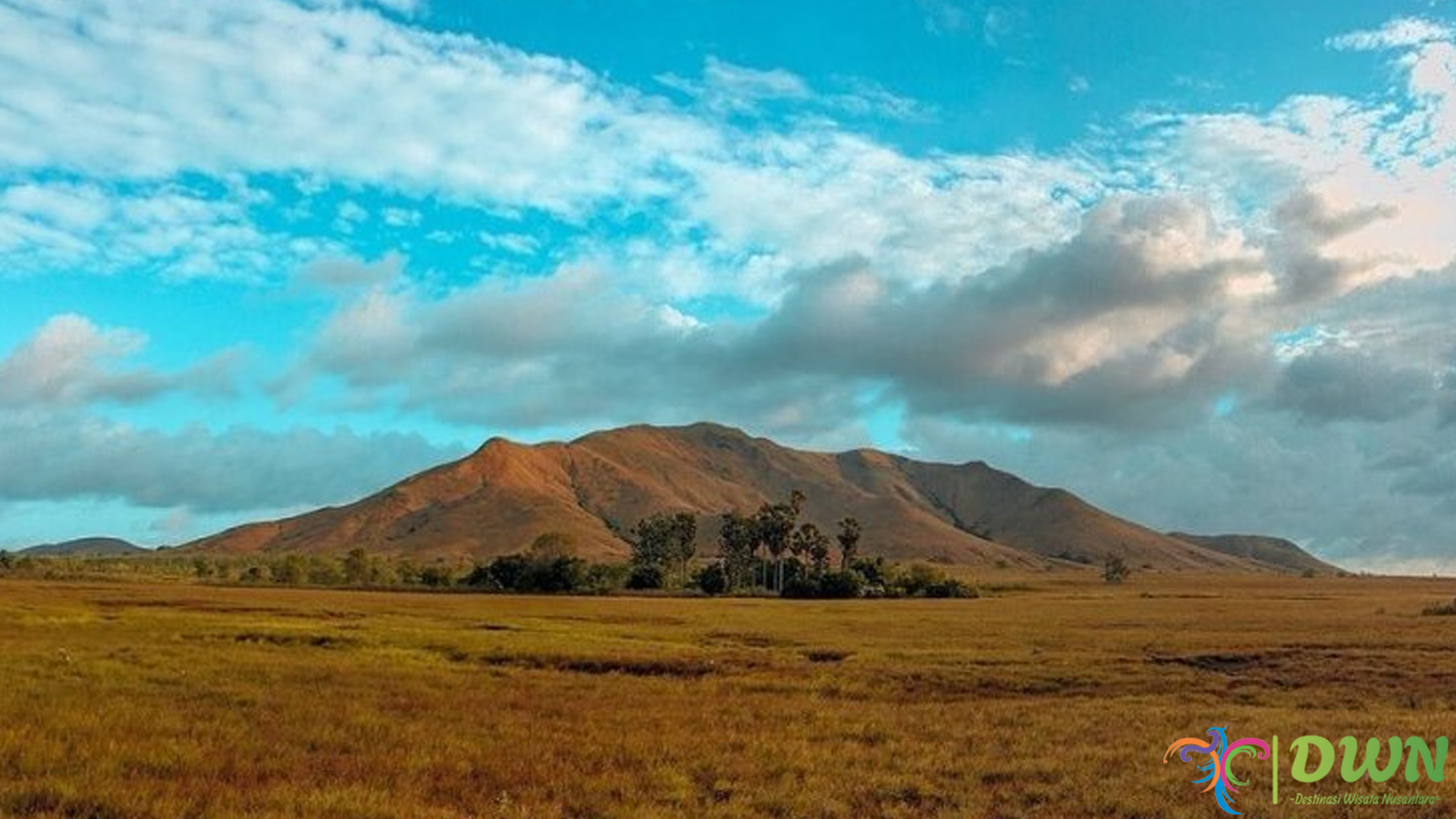 Keindahan Pulau Moa: Pesona Alam dan Kearifan Lokal