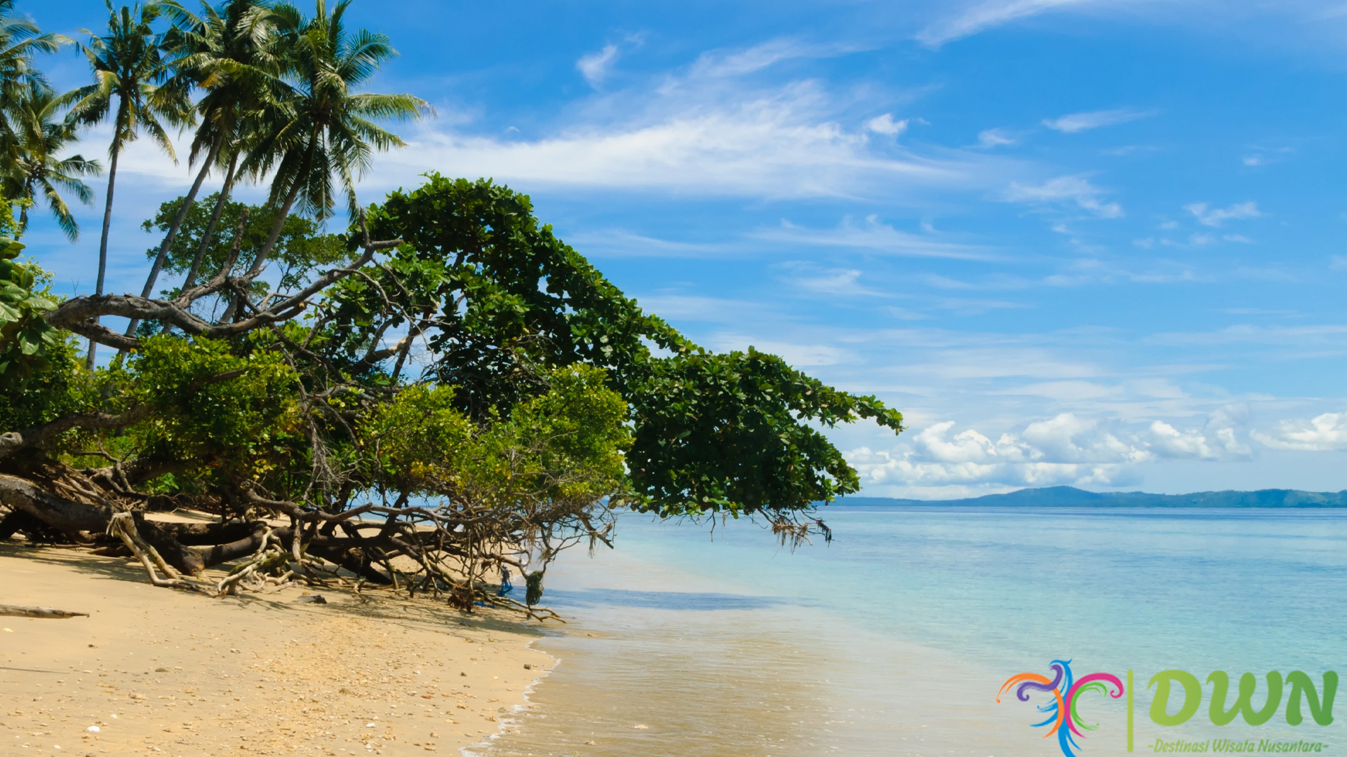 Pesona Wisata Pulau Siladen: Surga Snorkeling dan Relaksasi