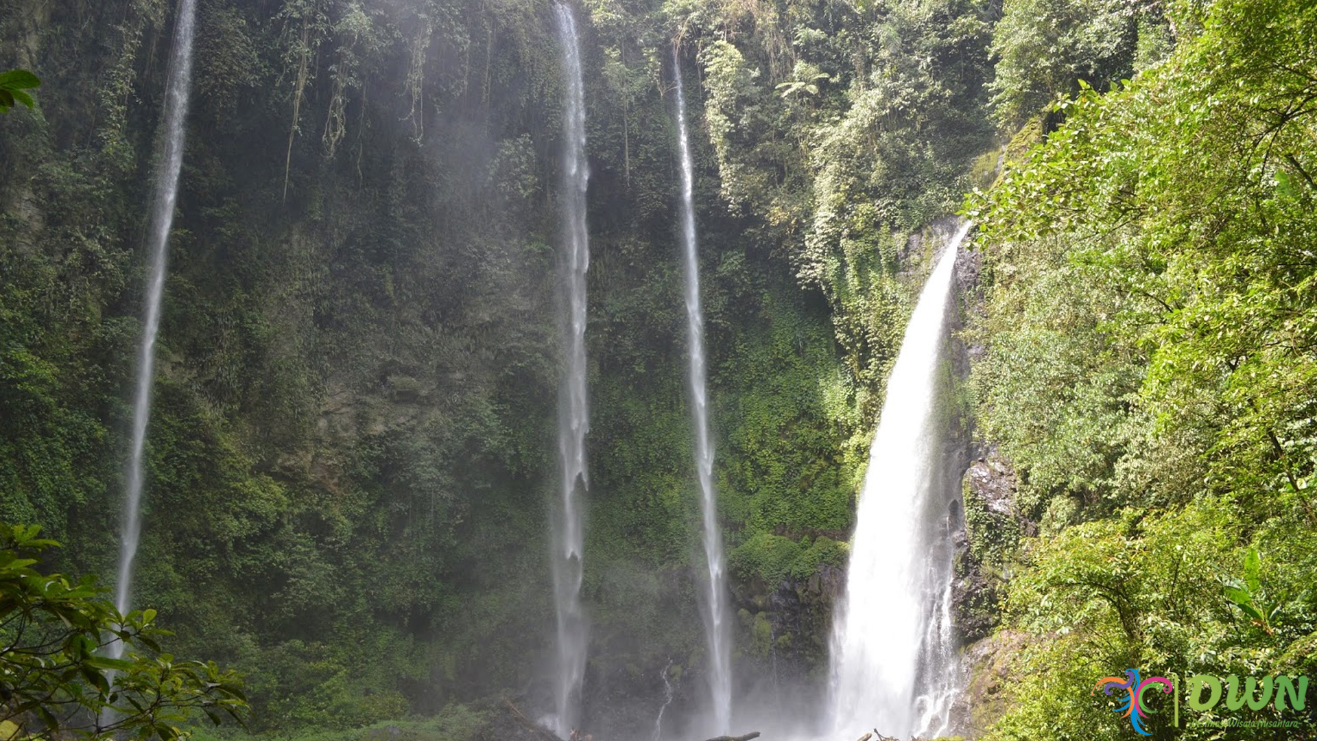 Air Terjun Tinoor: Oase Segar di Hutan Tropis Sulawesi Utara