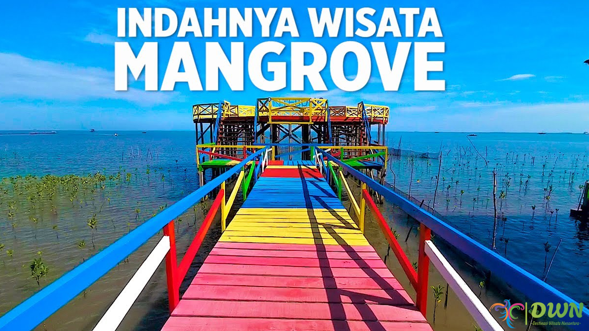 Mangrove Lantebung: Destinasi Wisata Alam yang Menenangkan