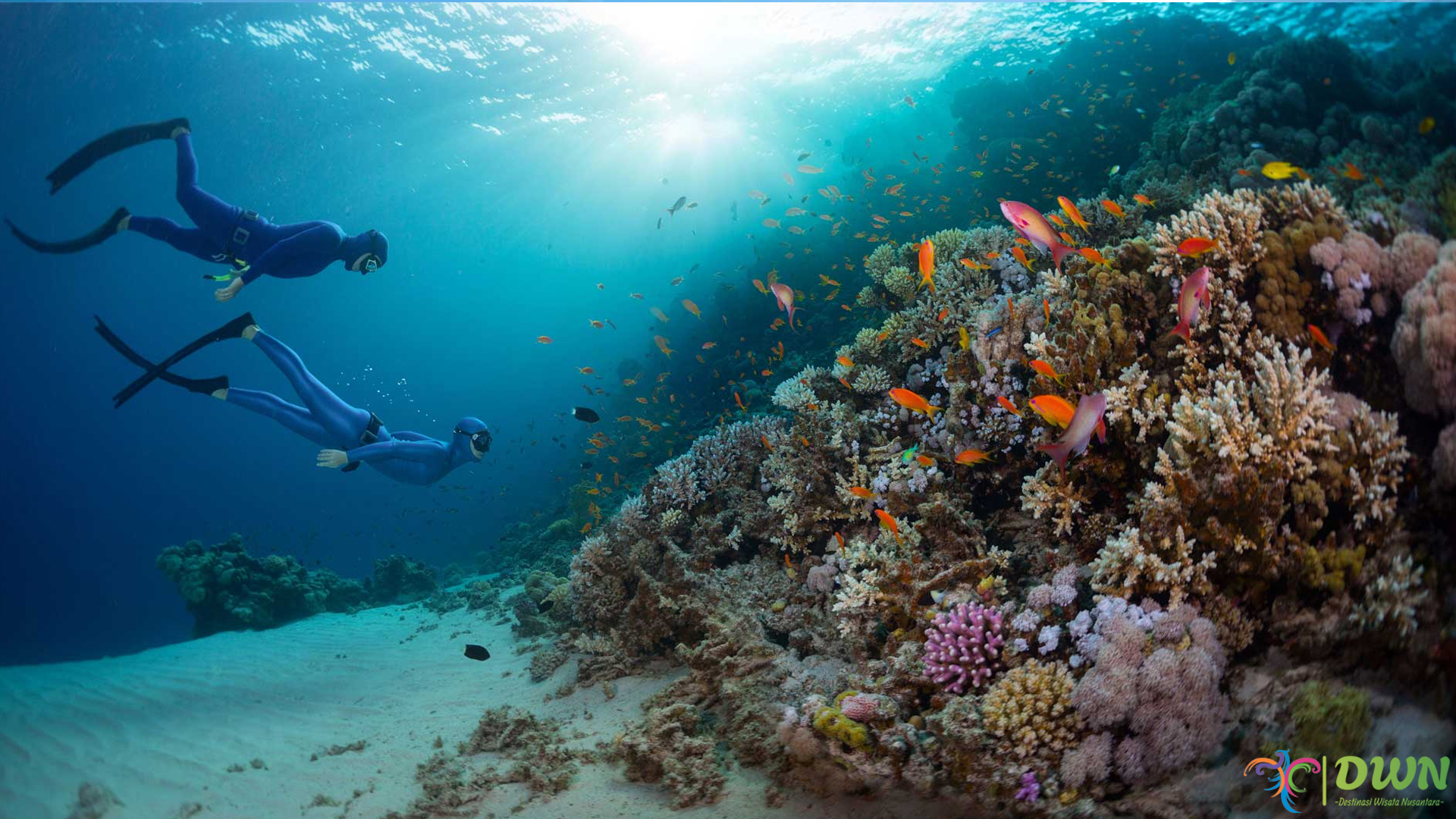 Wisata Alam Bunaken: Keindahan Laut yang Tak Boleh Dilewatkan