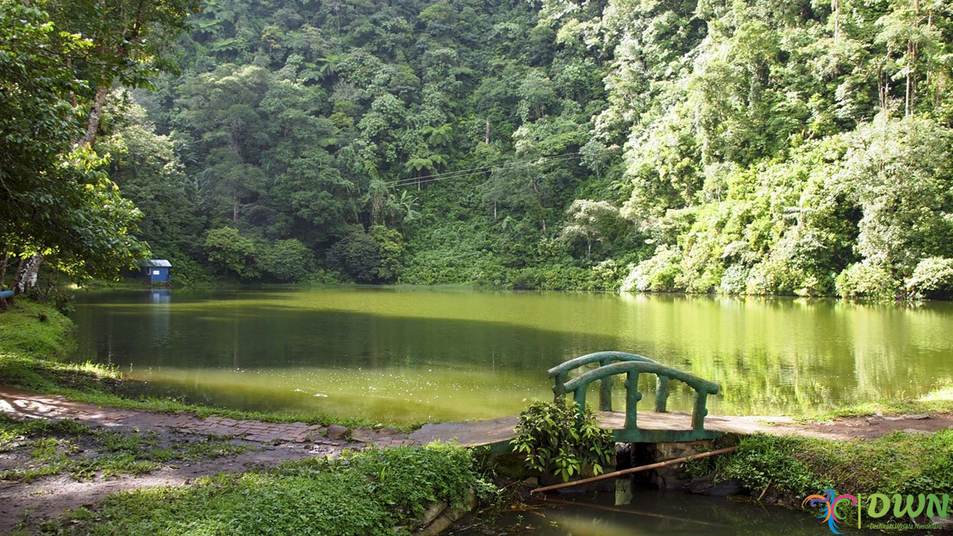 Liburan Seru di Telaga Warna: Destinasi Alam Wajib di Dieng